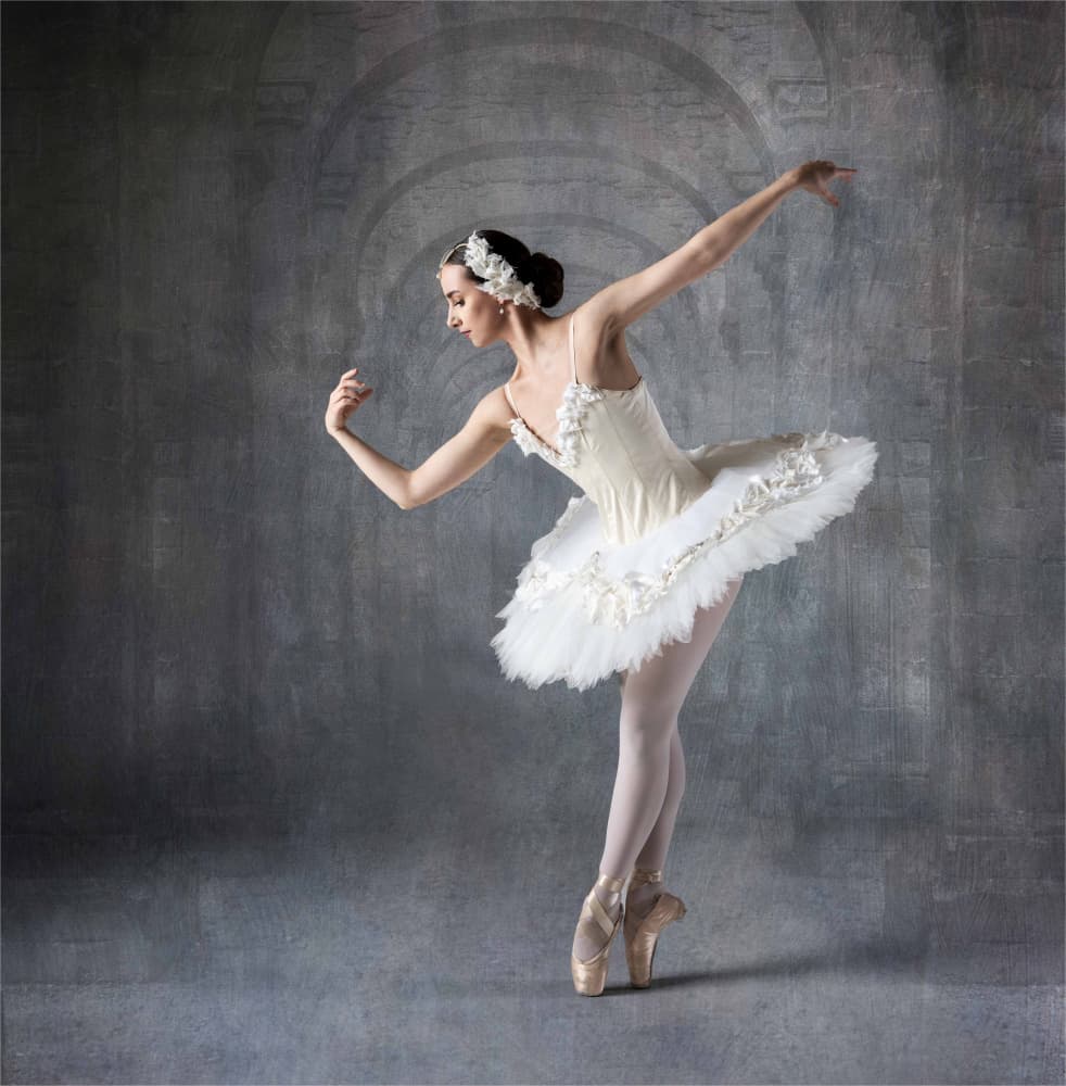 Elegant Ballerina Pose by Derwood — canvas wall art
