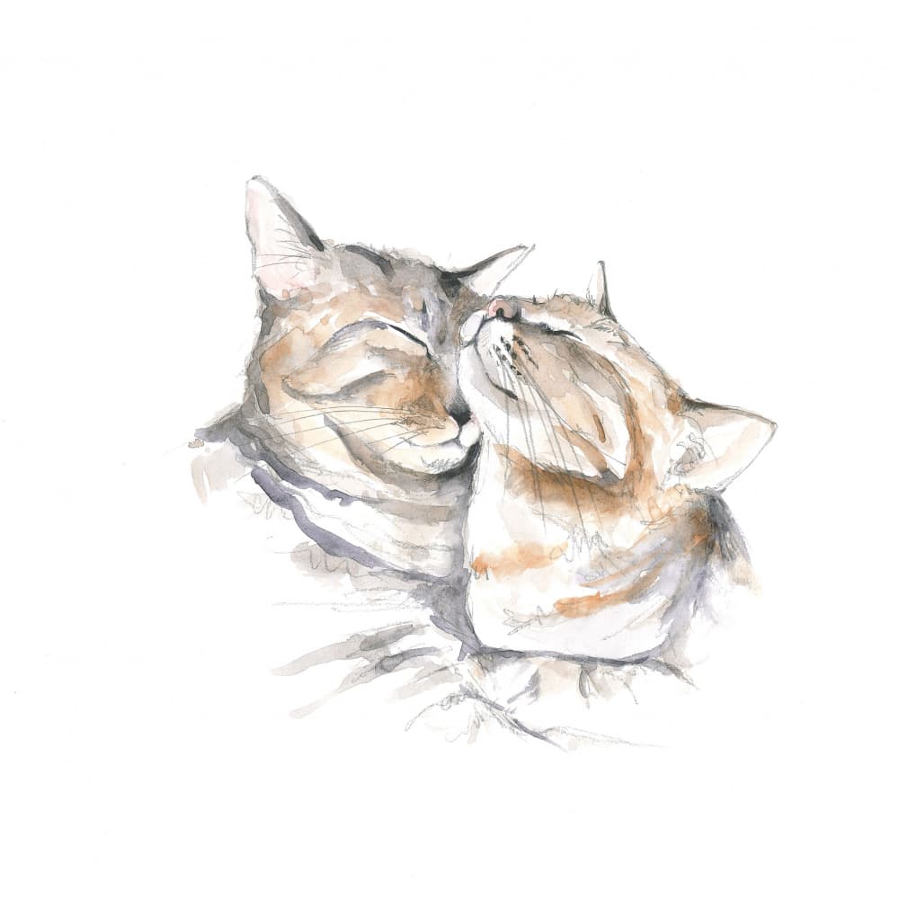 Sweetly Sleeping Cats by Isabelle Brent — canvas wall art