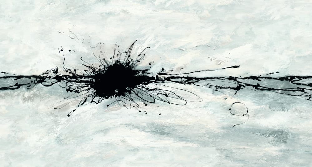Black Ink Burst by Renate Holzner — canvas wall art