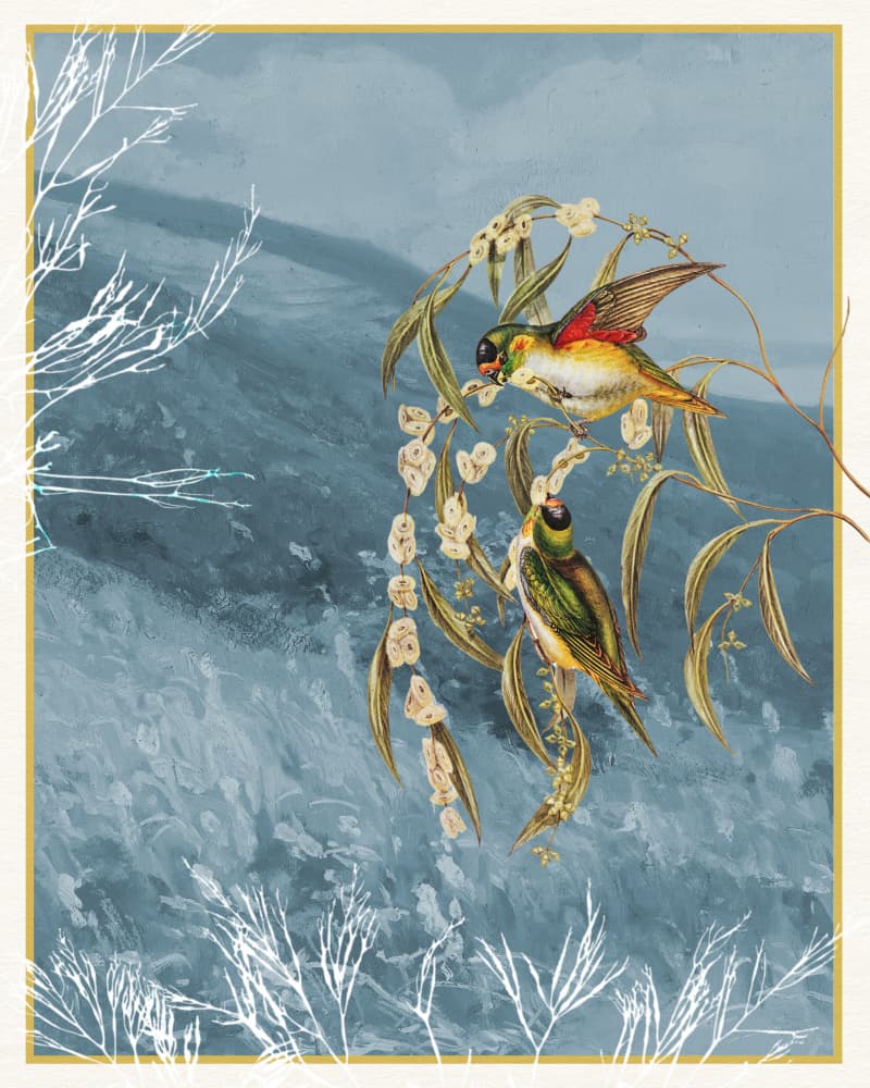 Colorful Birds on Branches by Wild Violets — canvas wall art