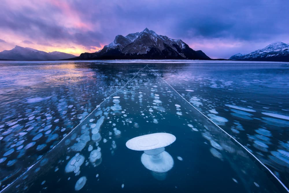Frozen Lake Bubbles by James Bian — canvas wall art