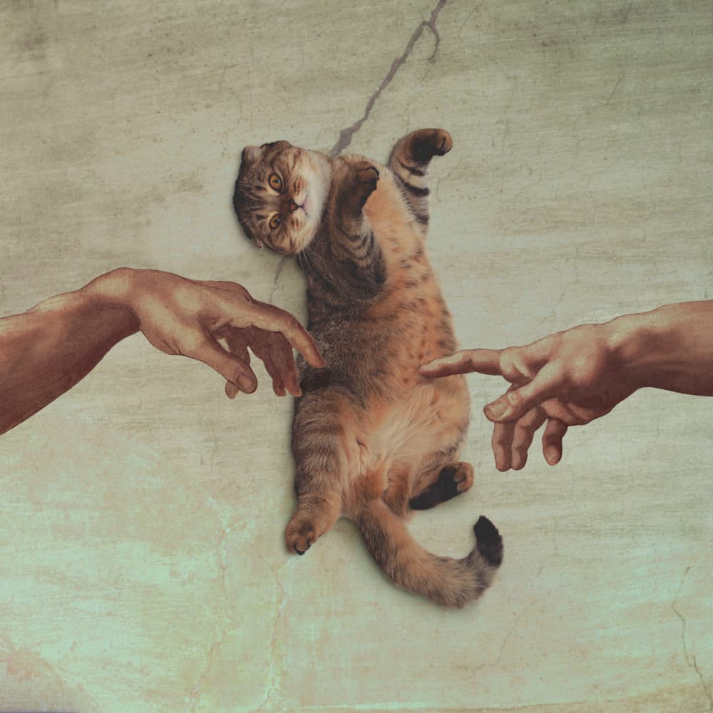 The Creation of Cat by Artem Pozdniakov — canvas wall art