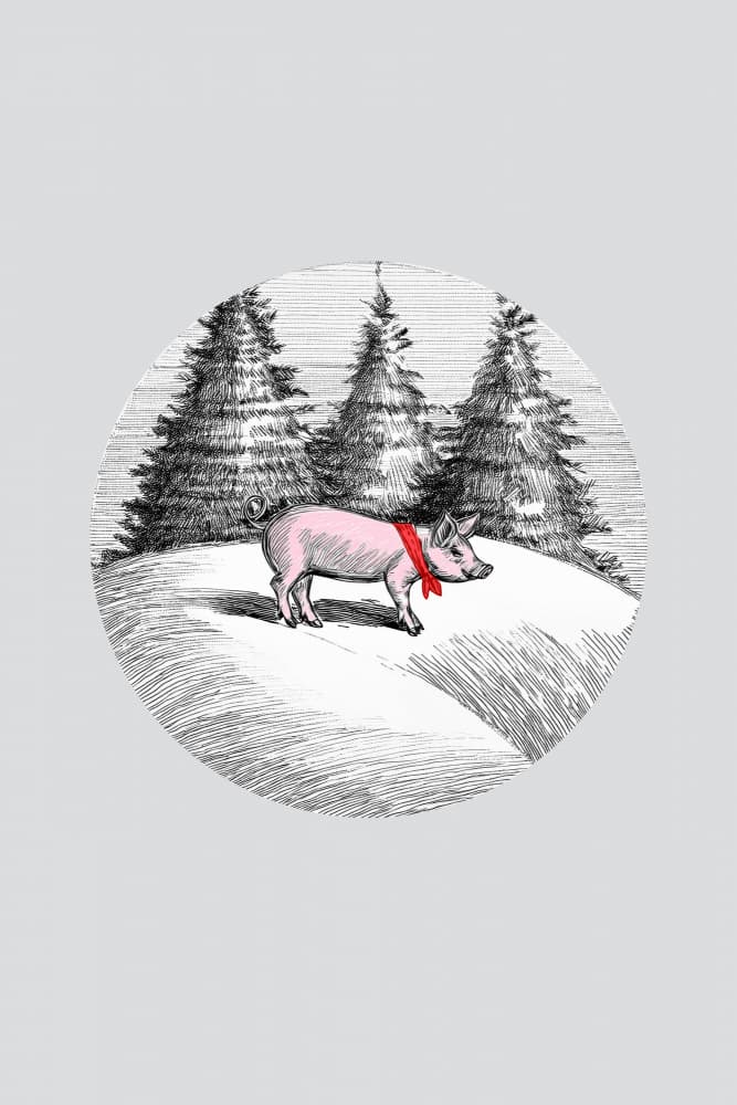 Christmas Pig In Snow by casa cartissi — canvas wall art