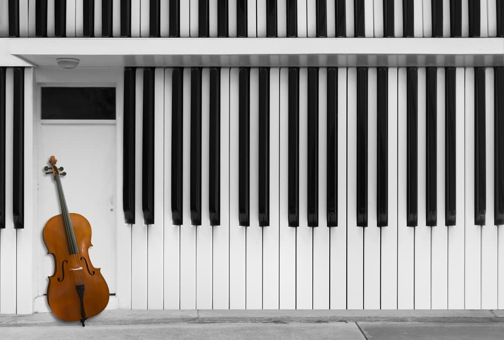 Cello Against Piano Wall by Jacqueline Hammer — canvas wall art