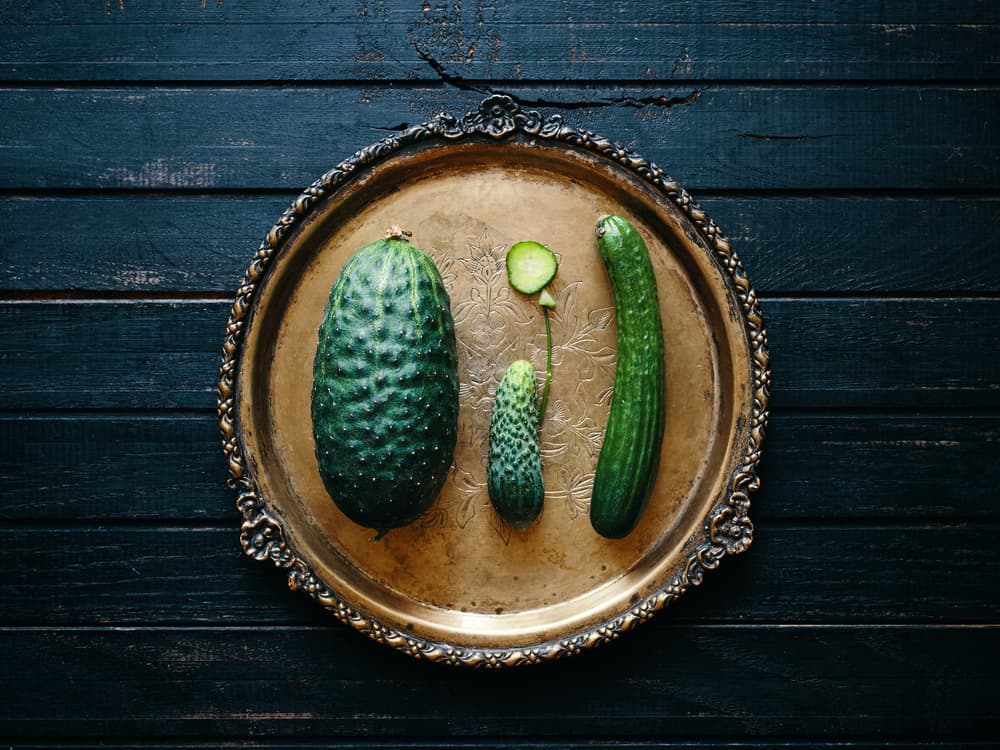 Fresh Cucumbers Rustic Tray by Karina Aleksandrova — canvas wall art