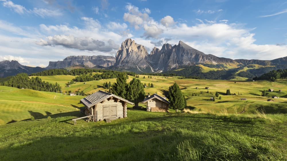 Paradise Day by Stefan Hefele — canvas wall art