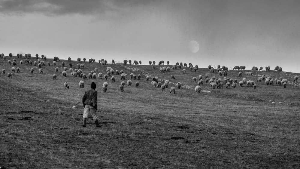Shepherd Boy Under Moon by Damian Stopczynski — canvas wall art