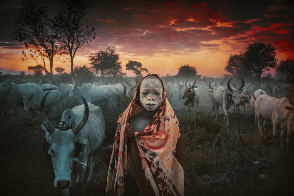 Tribal Child and Cattle by Svetlin Yosifov — canvas wall art