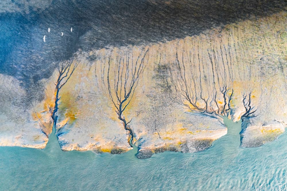 Abstract River Trees by Songlin Xu — canvas wall art