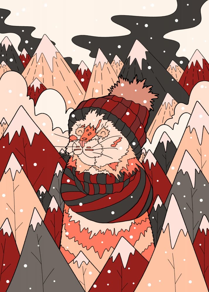 Cozy Winter Cat by Stephen Wade — canvas wall art