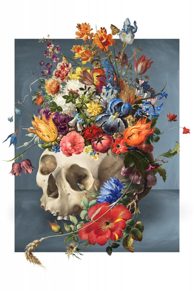 Vibrant Skull Bloom by Marja van den Hurk — canvas wall art