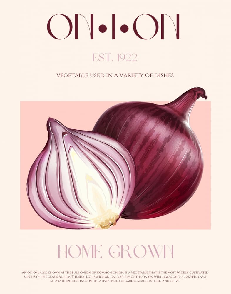Vintage Red Onions by Nazma Khokhar — canvas wall art
