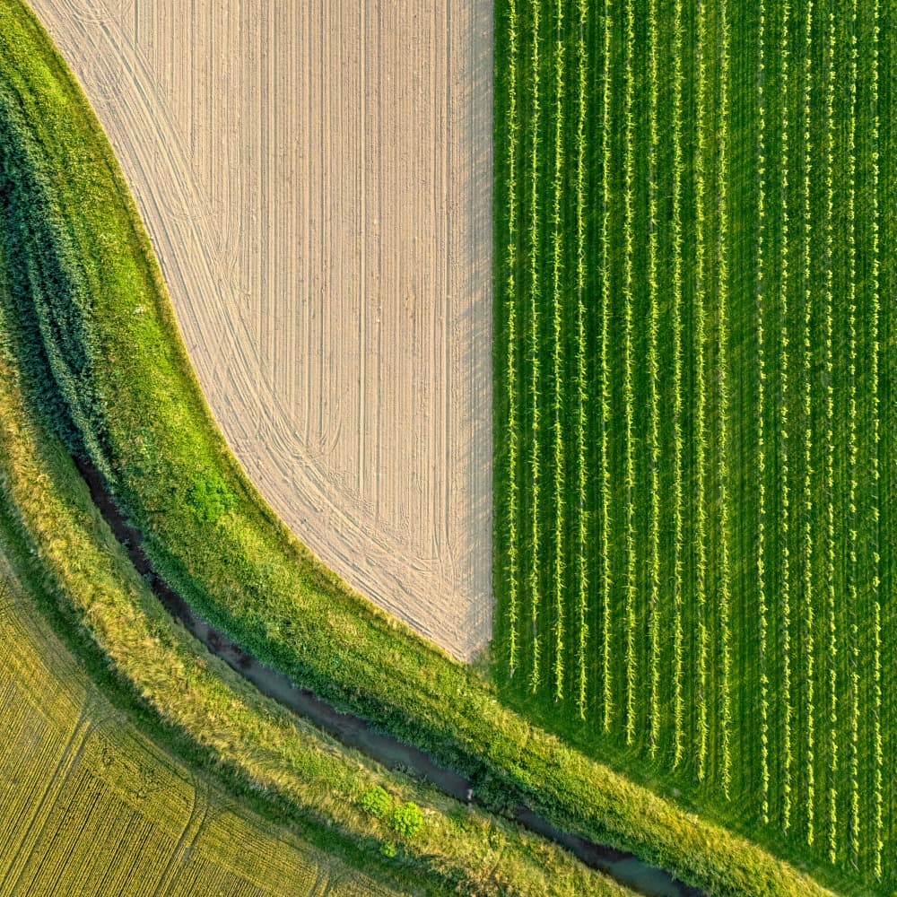 Aerial Farm Field Patterns by Primož Kožuh — canvas wall art