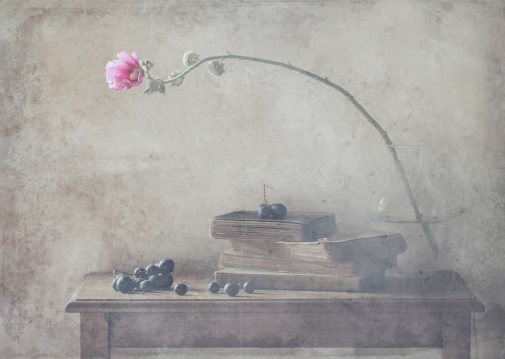 Vintage Books and Bloom by Delphine Devos — canvas wall art