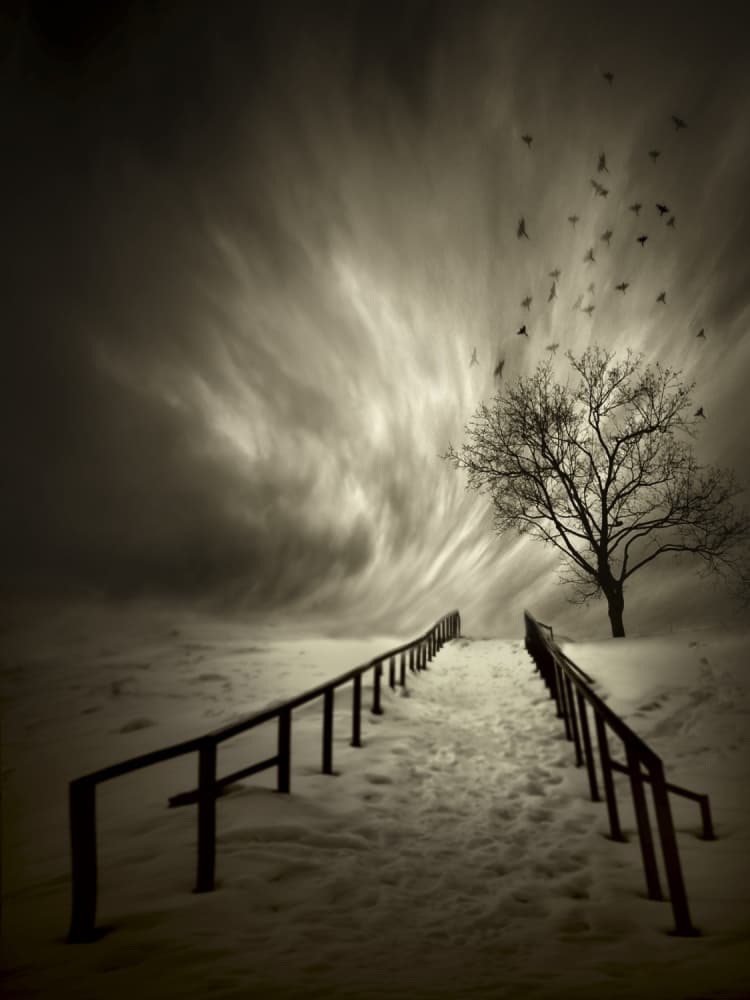 Winter Path and Swirling Sky by David Senechal Photographie (polydactyle) — canvas wall art