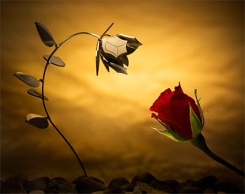 Metal Rose and Red Rose by Wieteke de Kogel — canvas wall art