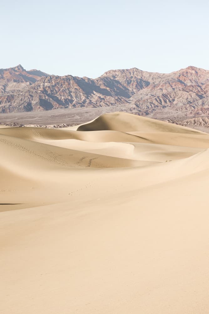 Golden Desert Dunes by Henrike Schenk — canvas wall art
