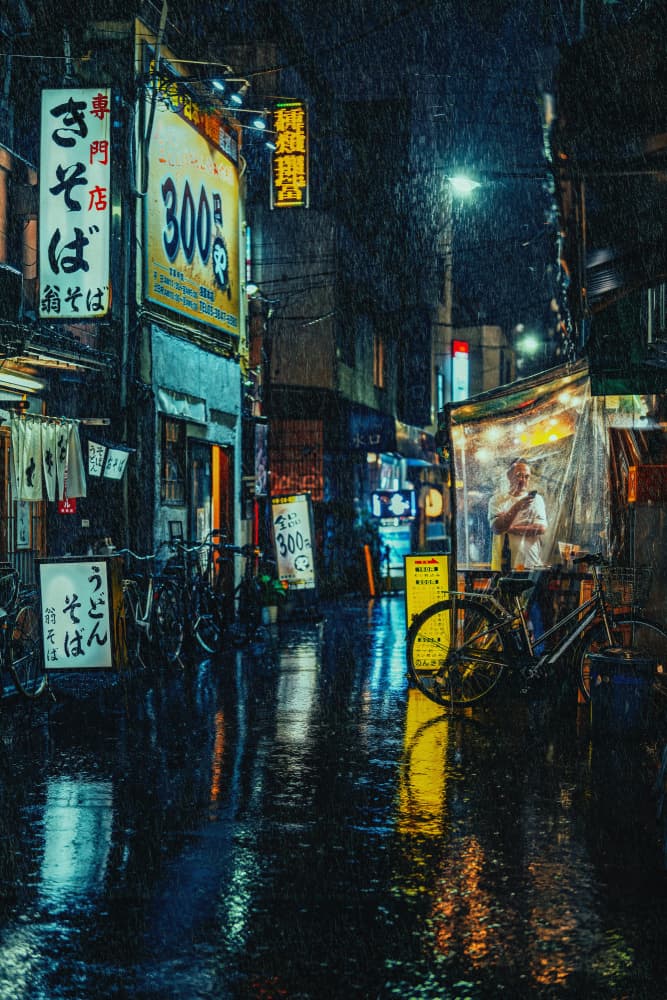 Tokyo Rainy Night by Yuzo Fujii — canvas wall art