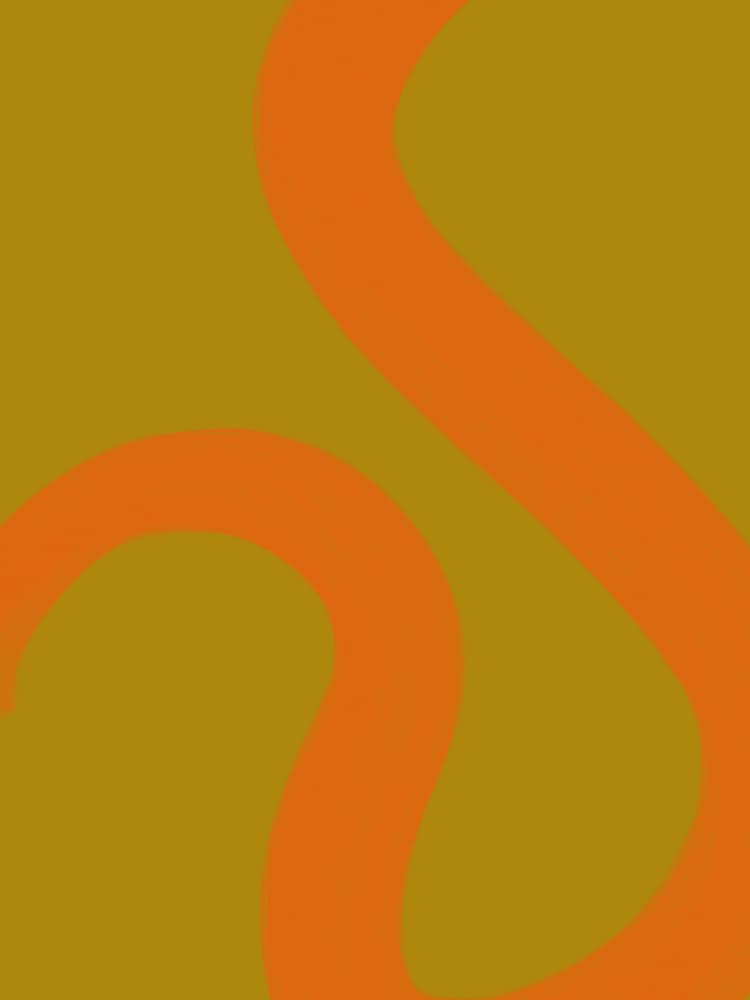 Fluid Orange Lines by Studio Palette — canvas wall art