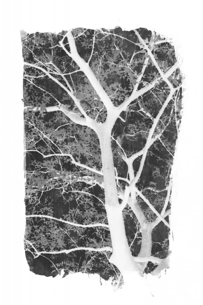 Stark Inverted Tree by amini54 — canvas wall art