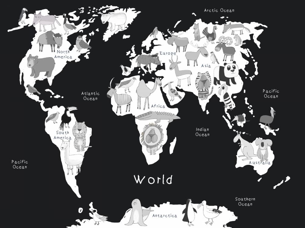 World Animal Map by Carla Daly — canvas wall art