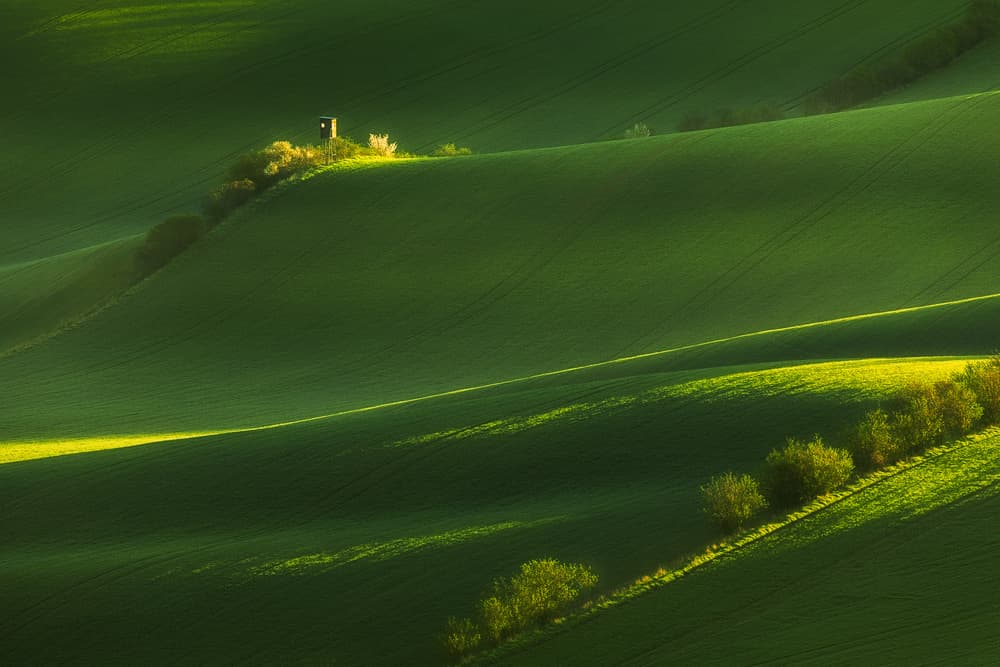 Sunlit Rolling Green Fields by Tomasz Rojek — canvas wall art