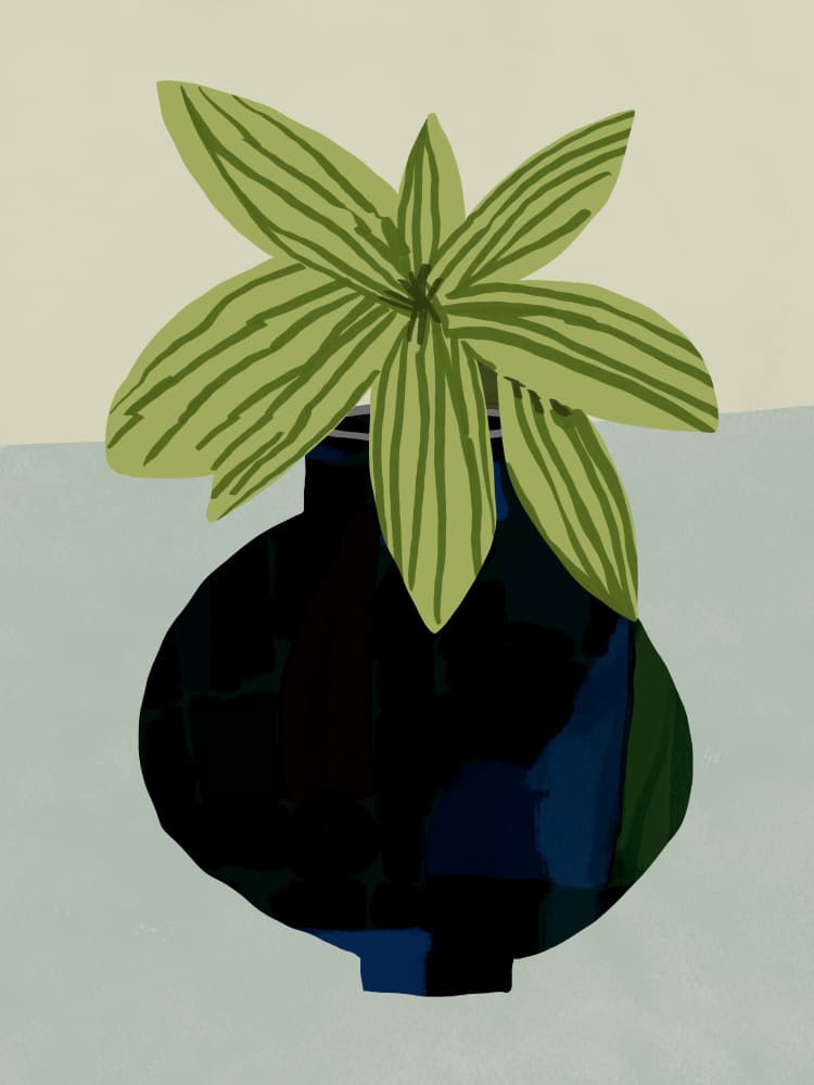 Green Houseplant Still Life by Little Dean — canvas wall art