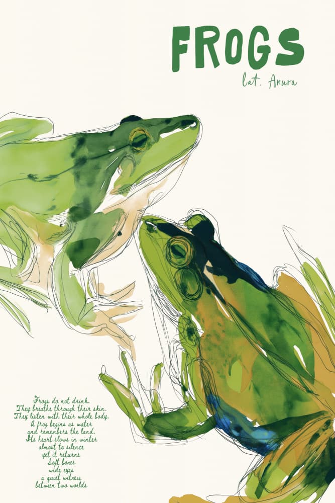 Green Frogs Watercolor by Treechild — canvas wall art