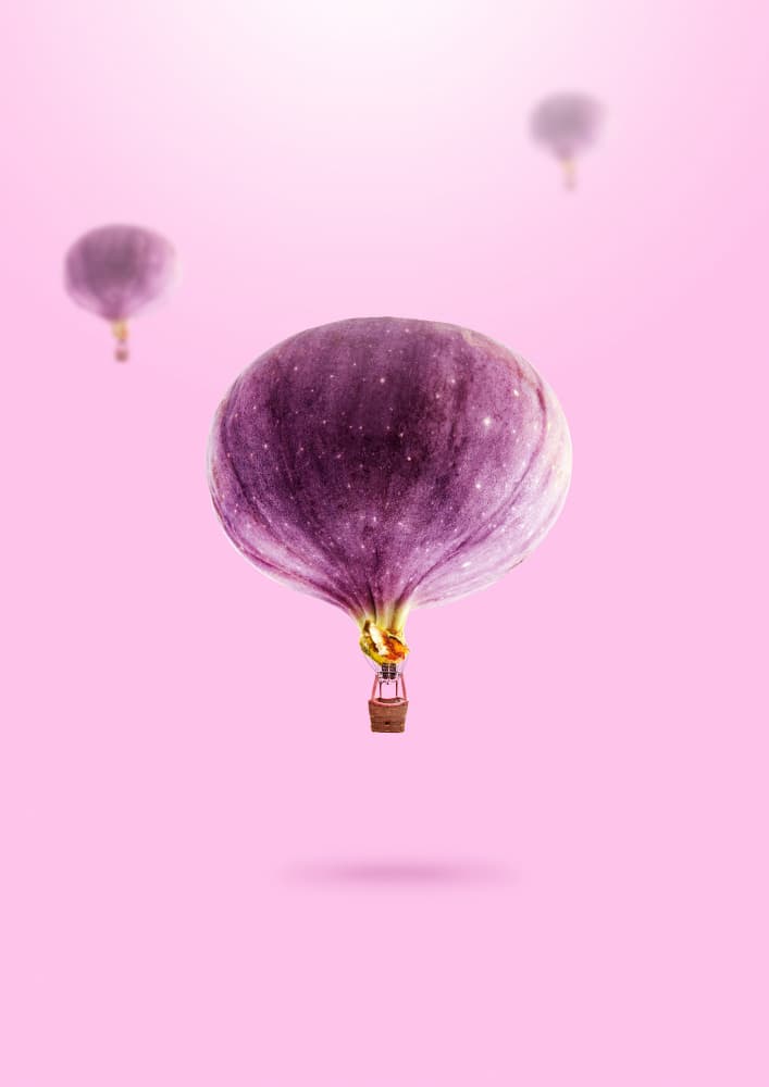 Flying Fig Dreams by Artem Pozdniakov — canvas wall art