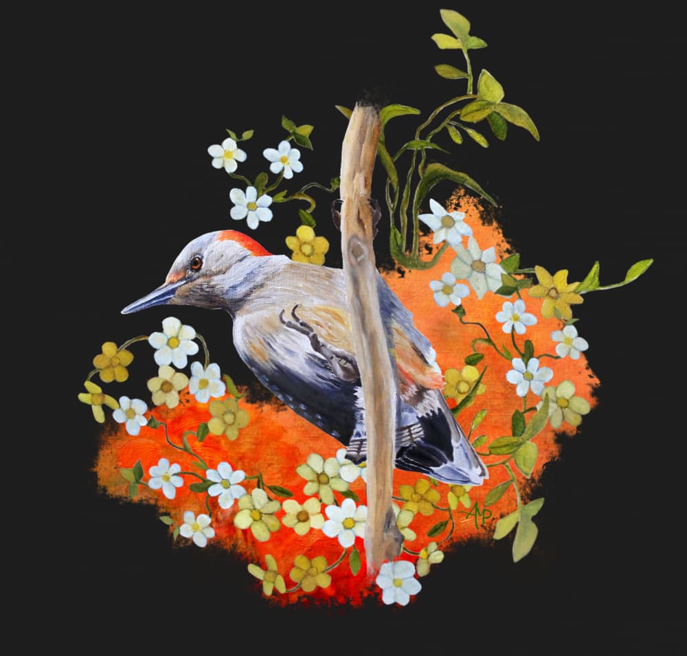 Vibrant Woodpecker Bloom by Angeles M. Pomata — canvas wall art