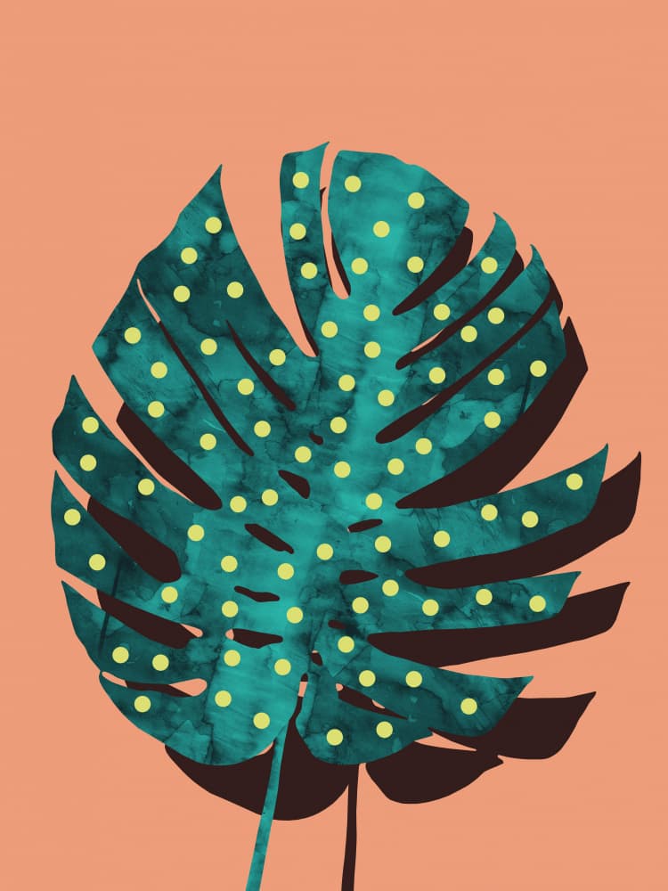 Polka Dot Monstera Leaf by Vitor Costa — canvas wall art