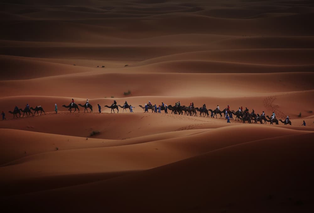 Sahara Desert Caravan by Clas Gustafson PRO — canvas wall art