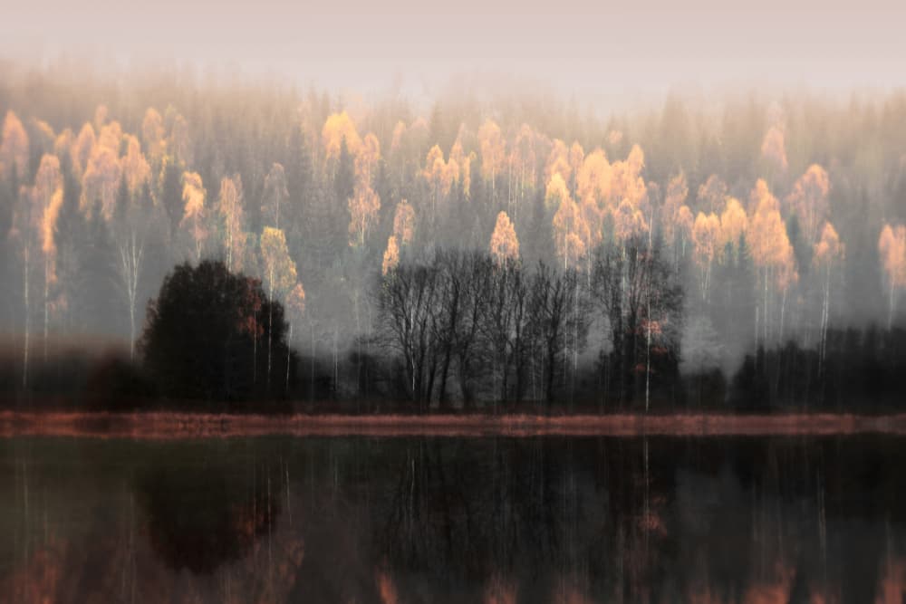 Misty Autumn Reflections by Christina Sillen — canvas wall art