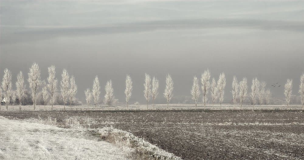 Serene Frosted Landscape by Yvette Depaepe — canvas wall art