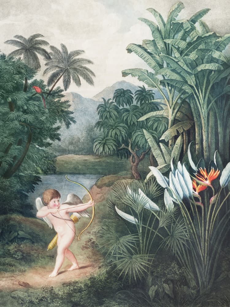Cupid Inspiring Plants With Love From the Temple of Flora (1807) By Robert John Thornton by John Thornton — canvas wall art