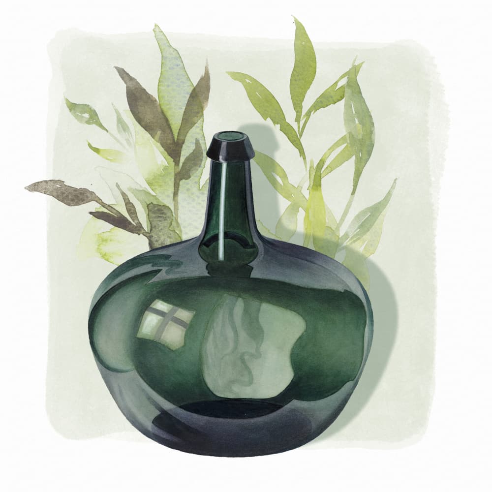 Green Bottle Still Life by Marja van den Hurk — canvas wall art