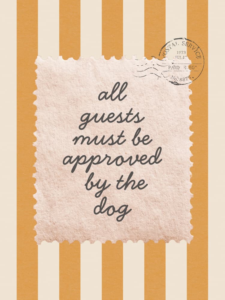 Approved By The Dog by Jolly and Dash — canvas wall art