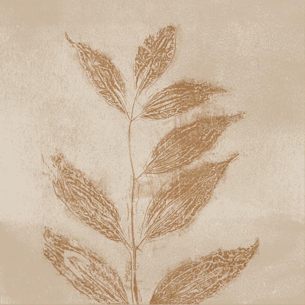 Sepia Botanical Study by Dina Dankers — canvas wall art