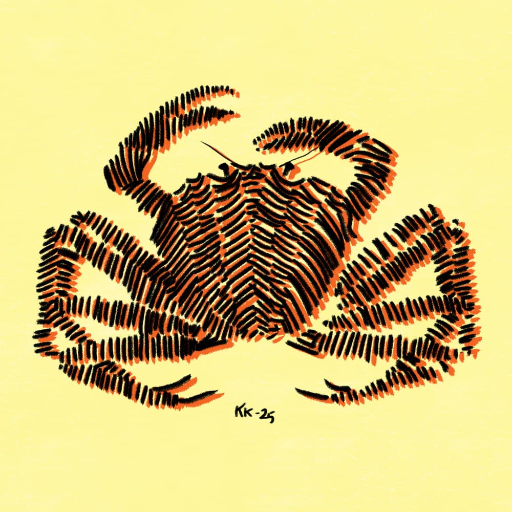 Bold Striped Crab by Katariina Kosunen — canvas wall art