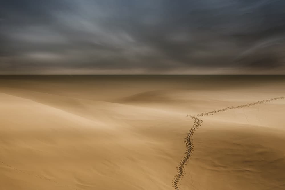 Winding Desert Path by Uschi Hermann — canvas wall art