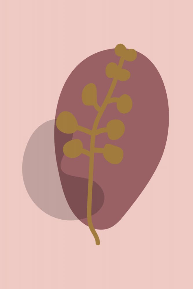 Blush Maroon Botanicals by Dina Dankers — canvas wall art