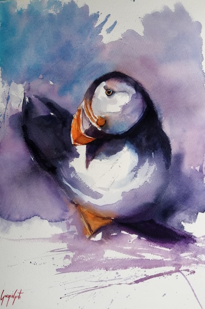 Purple Puffin Portrait by Giorgio Gosti — canvas wall art