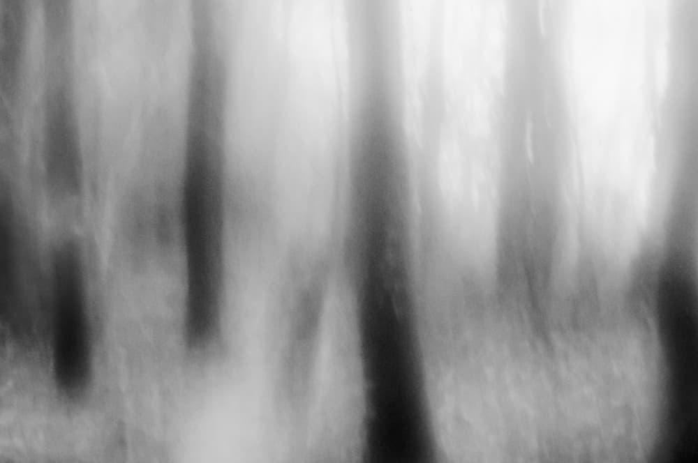 Ethereal Forest Mist by Imaginative — canvas wall art
