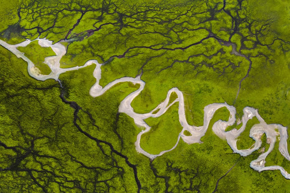 Meandering Green River by Irene Wu — canvas wall art
