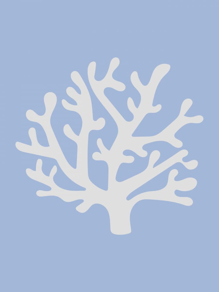 White Coral Silhouette by Jolly and Dash — canvas wall art