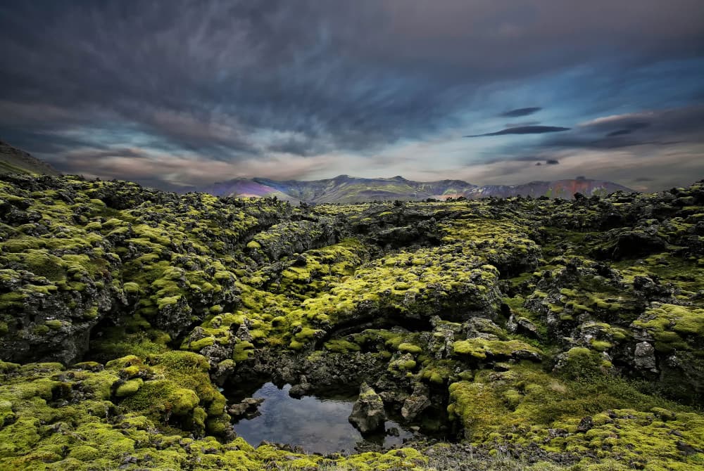 Dramatic Mossy Landscape by Þorsteinn H. Ingibergsson — canvas wall art