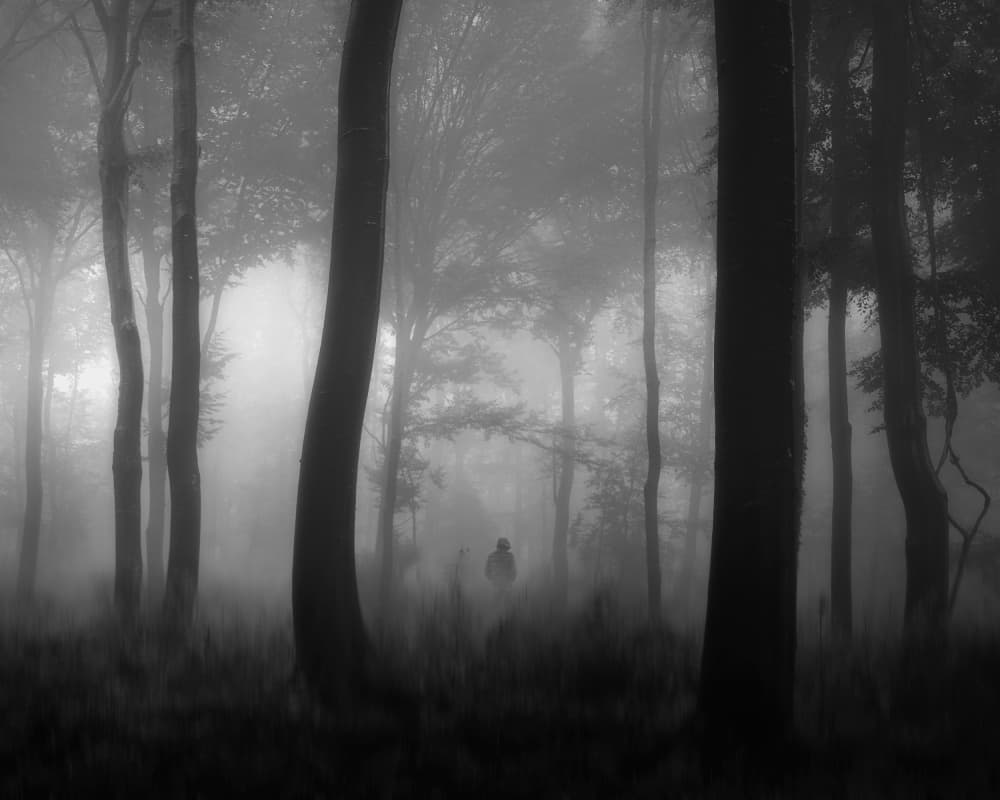 Foggy Forest Figure by Thomas de Franzoni — canvas wall art