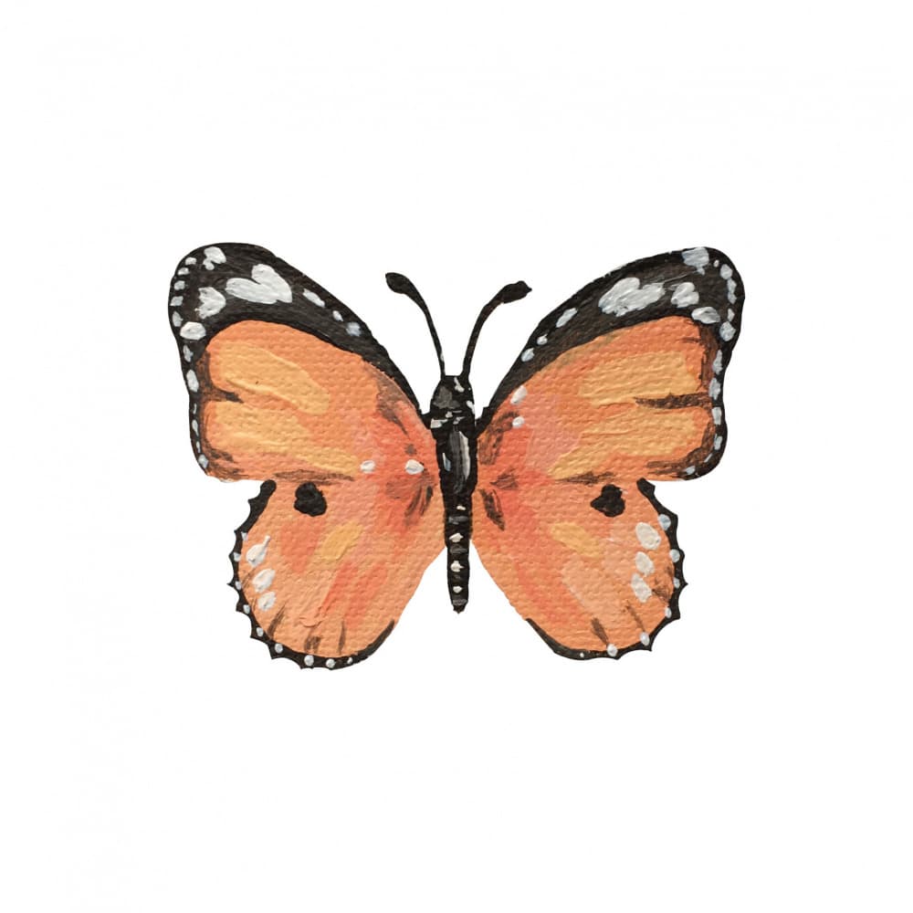 Vibrant Orange Butterfly by Madison Phipps — canvas wall art
