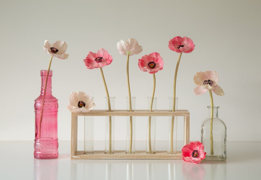 Delicate Poppies Still Life by Jacqueline Hammer — canvas wall art
