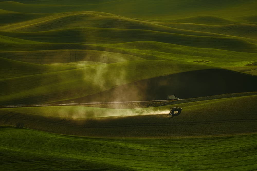 Farming Golden Hills by Lydia Jacobs — canvas wall art